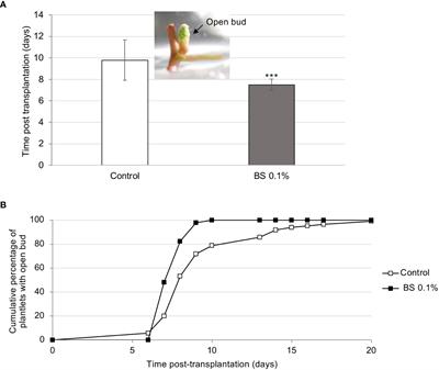 Biostimulation can prime elicitor induced resistance of grapevine leaves to downy mildew